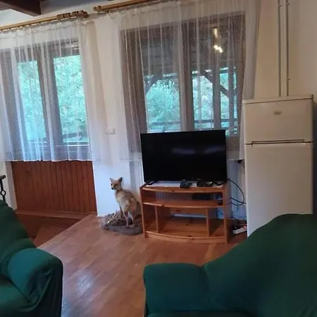 Hamvaskoi Vadaszhaz Apartment Pilismarot