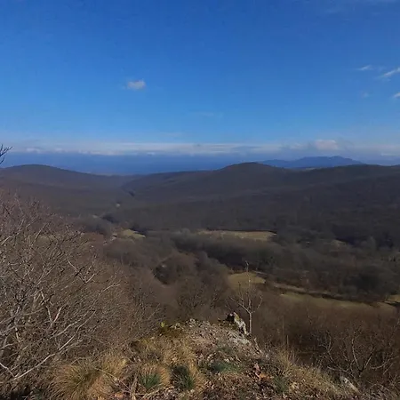 Apartament Hamvaskoi Vadaszhaz Pilismarot